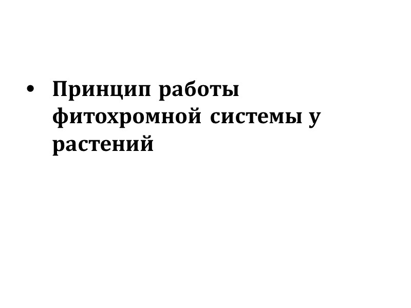 Принцип работы фитохромной системы у растений